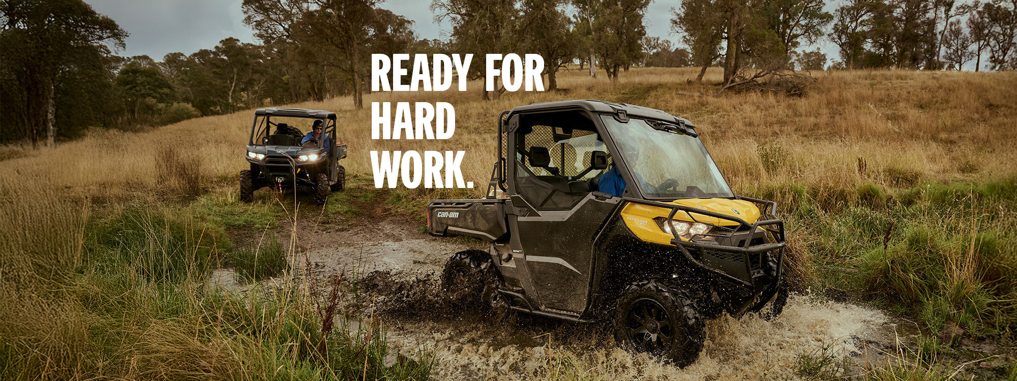 Defender Pro DPS HD10